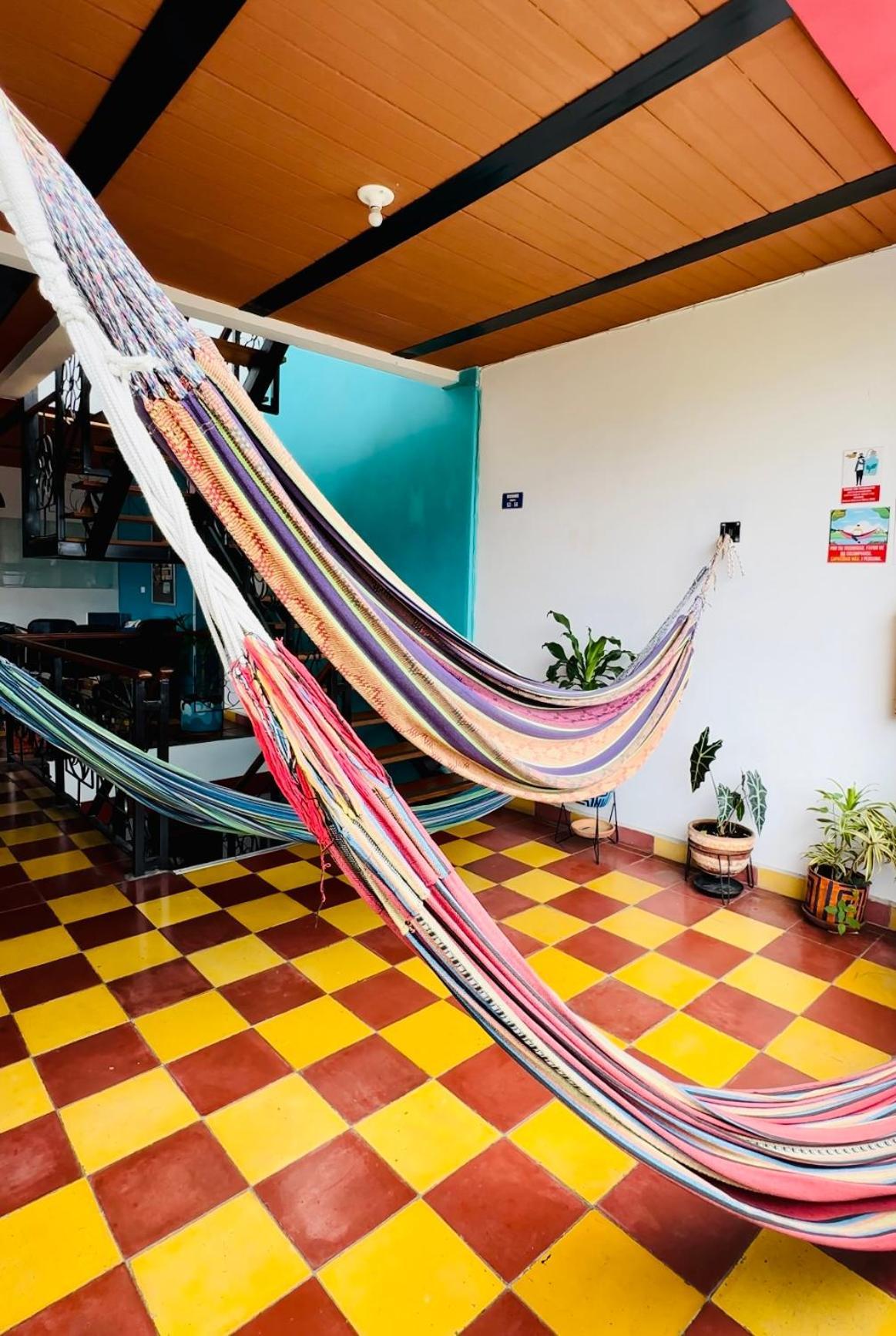 Havana Hostel Cali & Dance School Extérieur photo