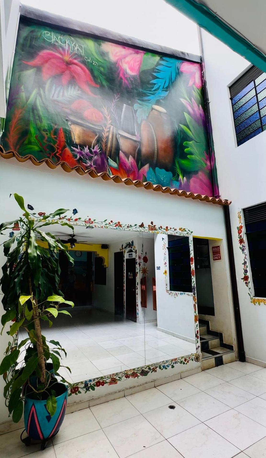 Havana Hostel Cali & Dance School Extérieur photo